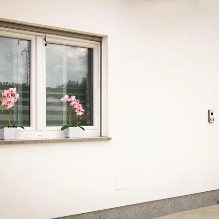 Apartment Juric Pula Exterior photo